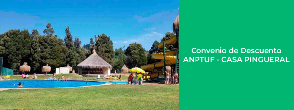 ANPTUF - Casa Pingueral&nbsp;