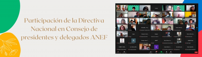 Participaci&oacute;n de la Directiva Nacional en Consejo de presidentes y delegados ANEF