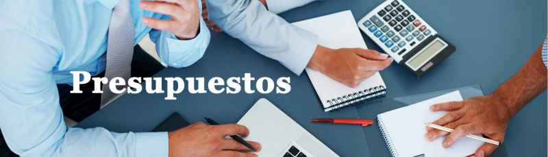 Estado Financiero A&ntilde;o 2020