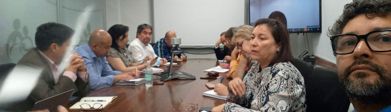 Anptuf y Anaff en reuni&oacute;n de avances de la reforma de salud con las autoridades