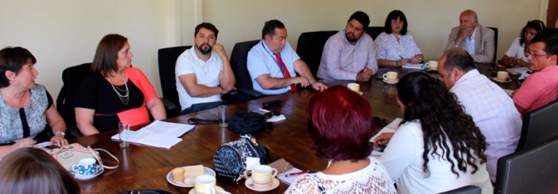 Reuni&oacute;n con ANEF y ANAFF, sobre Proceso PMG