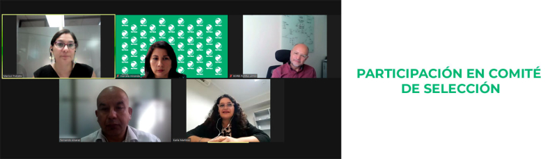 Participaci&oacute;n en Comit&eacute; de Selecci&oacute;n